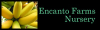 Encanto Farms Nursery